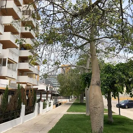 Gandia Muy Cerca De Playa Con Piscina *