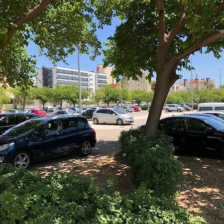 Apartamento Gandia Muy Cerca De Playa Con Piscina *